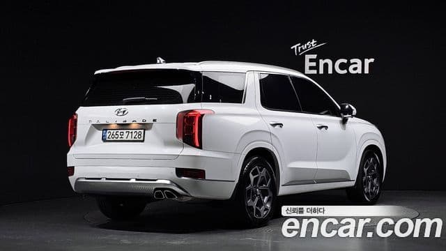 2021 Hyundai (Хёндэ) Palisade — миниатюра 3